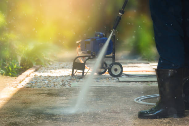 Best Animal Enclosure Cleaning  in Leipsic, OH